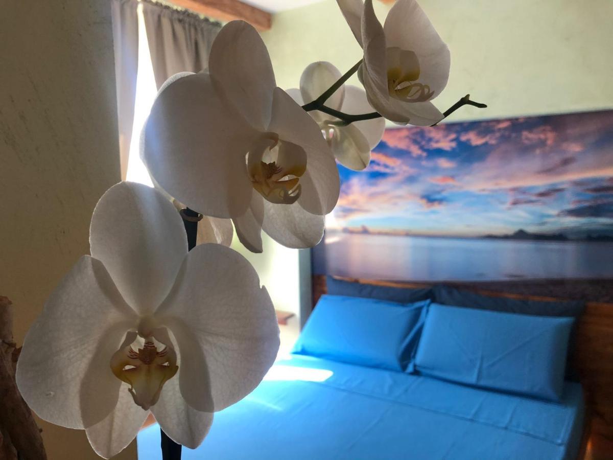 Dream & Relax Villa Fiore Барі Екстер'єр фото